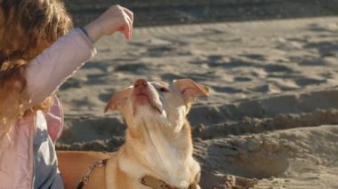 Sahilde kız okul öncesi kız köpek besler. Bahar