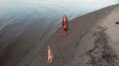 Anne ve kızı, koşmak, nehir kıyısında sahilde kahverengi bir köpek labrador ile oynamak. Havadan çekim