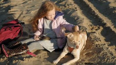 Sahilde kız okul öncesi kız köpek besler. Bahar