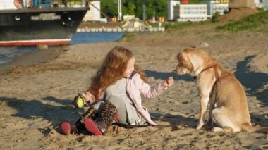 Sahilde kız okul öncesi kız köpek besler. Bahar