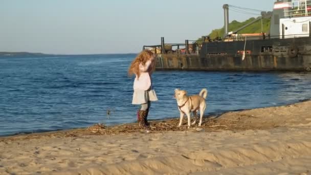 Meisje Preschool meisje spelen met een bruine Labrador hond op het strand. Lente of koude zomer — Stockvideo