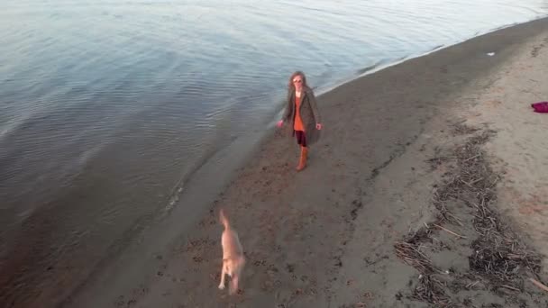 Mãe e filha, corram, brinquem com um labrador de cães castanhos na praia junto ao rio. Filmagem aérea — Vídeo de Stock