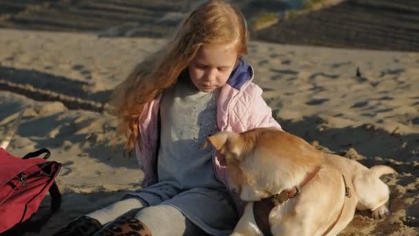 Menina menina pré-escolar na praia alimenta o cão. Primavera — Vídeo de Stock