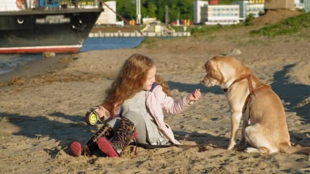 Flicka förskola flicka på stranden matar hunden. Våren — Stockvideo