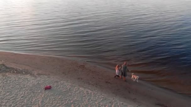 Mami a dceruško, Utírej si s hnědým psím labradorem na pláži u řeky. Letecký natáčení — Stock video