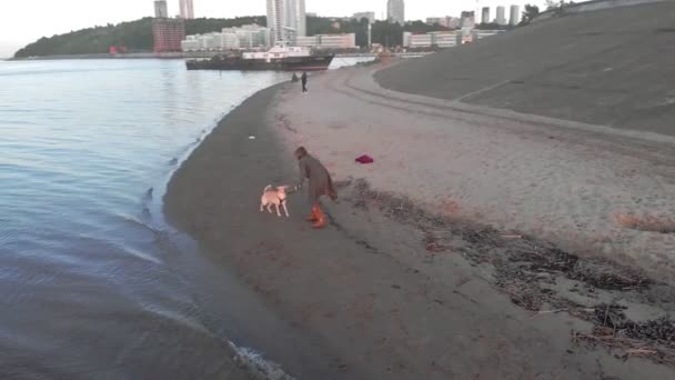 Mamá e hija, corran, jueguen con un perro labrador marrón en la playa junto al río. Filmación aérea — Vídeos de Stock