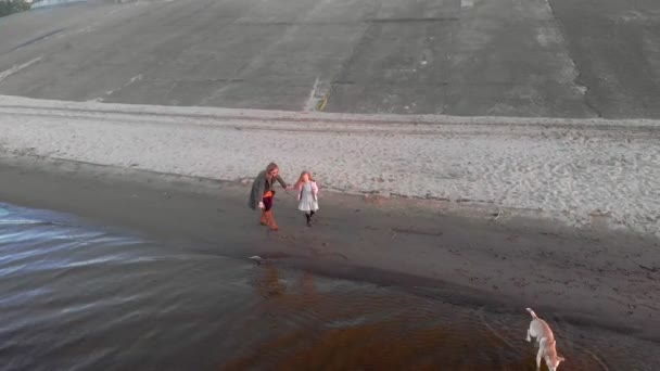 Anya és lánya, fuss, játszani egy barna kutya Labrador a tengerparton a folyóparton. Légifotó — Stock videók