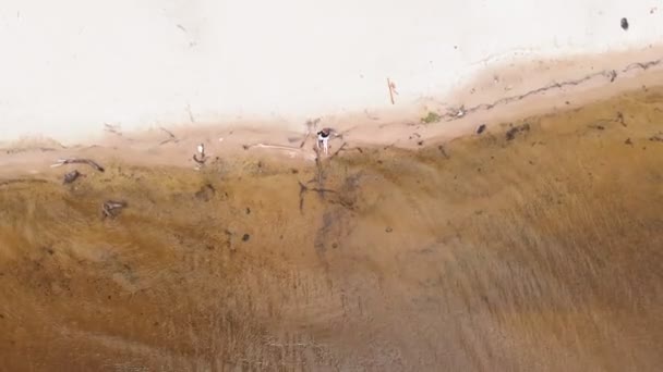 Eine junge Frau im Kleid läuft am Strand entlang. Luftaufnahmen — Stockvideo