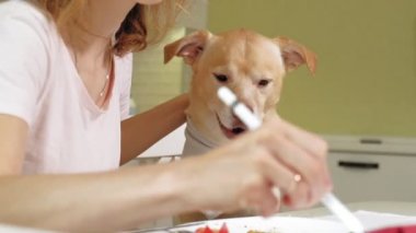 Masadaki mutfakta köpeği olan bir kadın. Kahvaltıda. İnsan ve evcil hayvanın dostluğu.