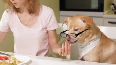 Masadaki mutfakta köpeği olan bir kadın. Kahvaltıda. İnsan ve evcil hayvanın dostluğu.