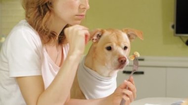 Masadaki mutfakta köpeği olan bir kadın. Kahvaltıda. İnsan ve evcil hayvanın dostluğu.