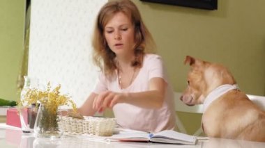 Masadaki mutfakta köpeği olan bir kadın. Kahvaltıda. İnsan ve evcil hayvanın dostluğu.