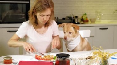 Masadaki mutfakta köpeği olan bir kadın. Kahvaltıda. İnsan ve evcil hayvanın dostluğu.