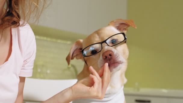 Wanita dengan anjing di dapur di meja. Sarapan. Persahabatan manusia dan hewan peliharaan . — Stok Video