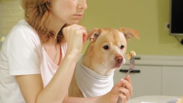 Vrouw met een hond in de keuken aan tafel. Ontbijt. Vriendschap van mens en huisdier. — Stockvideo