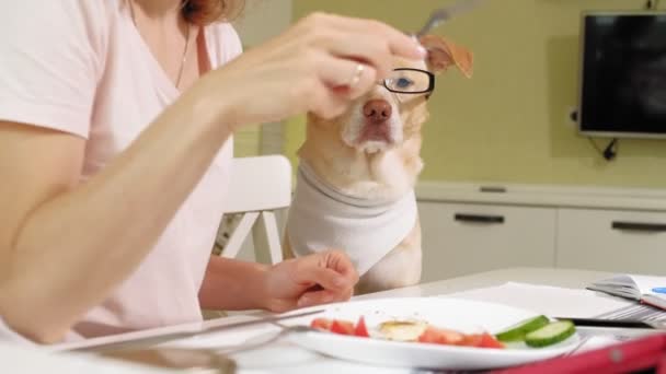 Masadaki mutfakta köpeği olan bir kadın. Kahvaltıda. İnsan ve evcil hayvanın dostluğu. — Stok video