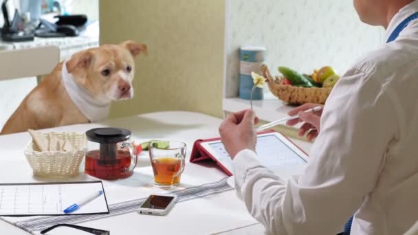 A férfi a kutya az asztalnál eszik. Barátság az ember és a kedvtelésből tartott állatok. Üzletemberek koncepció — Stock videók