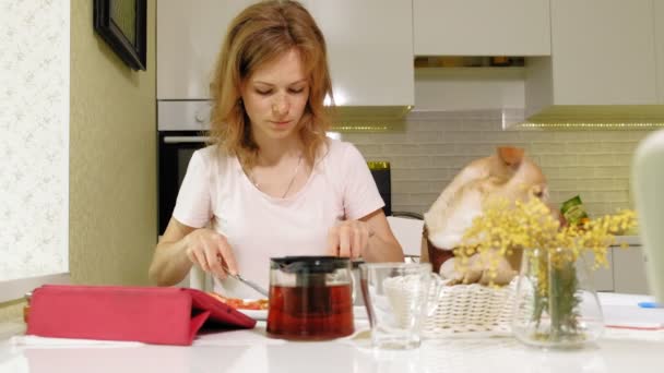 식탁에 개가 앉아 있는 여자. 아침먹자. 사람 과 애완 동물의 벗 관계. — 비디오