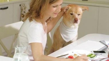 Masadaki mutfakta köpeği olan bir kadın. Kahvaltıda. İnsan ve evcil hayvanın dostluğu.