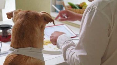 Masada köpek olan adam yemek yiyor. İnsan ve evcil hayvan dostluğu. İşadamları kavramı