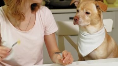 Masadaki mutfakta köpeği olan bir kadın. Kahvaltıda. İnsan ve evcil hayvanın dostluğu.