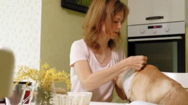 Masadaki mutfakta köpeği olan bir kadın. Kahvaltıda. İnsan ve evcil hayvanın dostluğu.