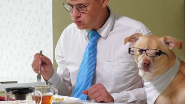テーブルに犬を乗せたのある男の人が食べている。人間とペットの友情ビジネスマンのコンセプト — ストック動画
