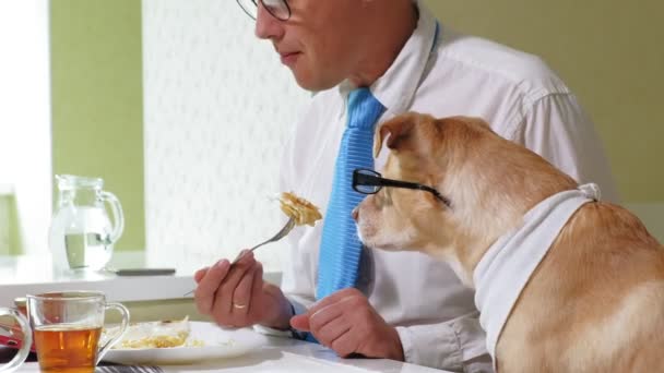 テーブルに犬を乗せたのある男の人が食べている。人間とペットの友情ビジネスマンのコンセプト — ストック動画
