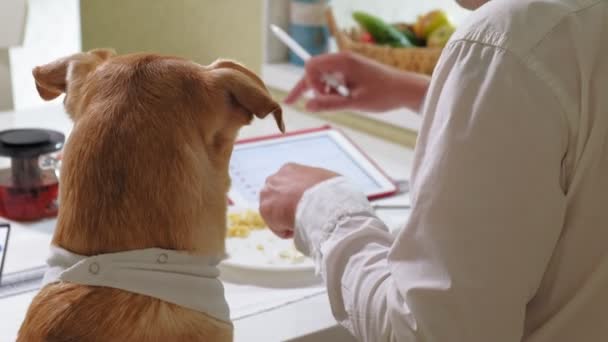 Pria dengan anjing di meja sedang makan. Persahabatan manusia dan hewan peliharaan. Konsep Pengusaha — Stok Video