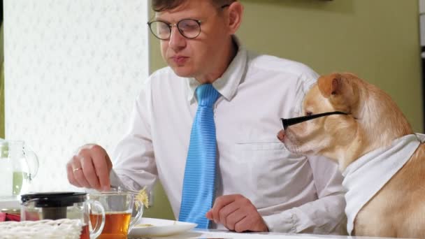 L'uomo con il cane a tavola sta mangiando. Amicizia dell'uomo e dell'animale domestico. Concetto di uomini d'affari — Video Stock