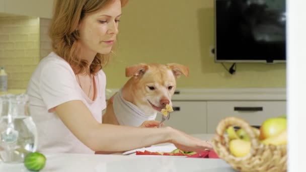 Kvinne med hund på kjøkkenet ved bordet. Frokost. Vennskap mellom menneske og kjæledyr . – stockvideo