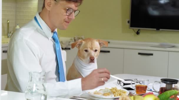 A férfi a kutya az asztalnál eszik. Barátság az ember és a kedvtelésből tartott állatok. Üzletemberek koncepció — Stock videók