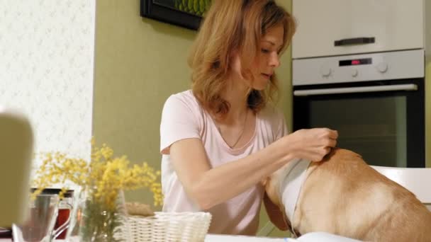 Una mujer con un perro en la cocina en la mesa. El desayuno. Amistad de hombre y mascota . — Vídeos de Stock