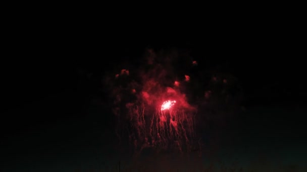 Fuegos artificiales de colores en el cielo oscuro, un montón de hermoso pez gordo 4k — Vídeo de stock