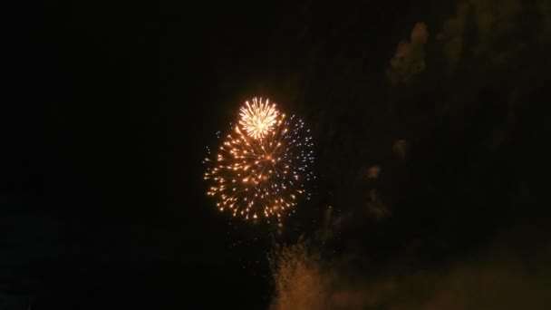 Fogos de artifício coloridos no céu escuro, lotes de belo grande tiro 4k — Vídeo de Stock