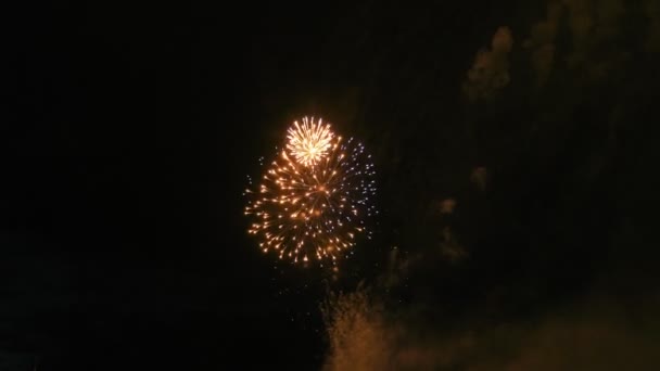 Fuegos artificiales de colores en el cielo oscuro, un montón de hermoso pez gordo 4k — Vídeos de Stock