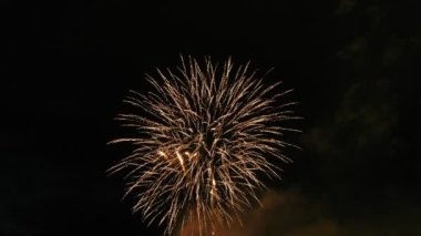 Karanlık gökyüzünde renkli havai fişek, güzel büyük çekim 4k çok