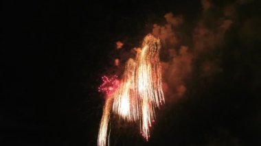 Karanlık gökyüzünde renkli havai fişek, güzel büyük çekim 4k çok