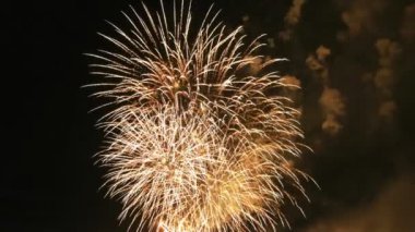 Karanlık gökyüzünde renkli havai fişek, güzel büyük çekim 4k çok