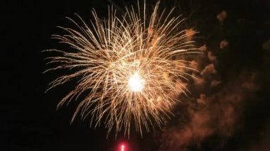 Karanlık gökyüzünde renkli havai fişek, güzel büyük çekim 4k çok