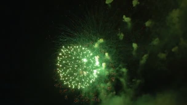 Fogos de artifício coloridos no céu escuro, lotes de belo grande tiro 4k — Vídeo de Stock