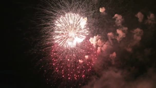 Fuegos artificiales de colores en el cielo oscuro, un montón de hermoso pez gordo 4k — Vídeos de Stock