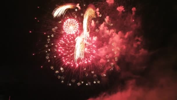 Fogos de artifício coloridos no céu escuro, lotes de belo grande tiro 4k — Vídeo de Stock