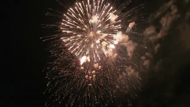 Fogos de artifício coloridos no céu escuro, lotes de belo grande tiro 4k — Vídeo de Stock