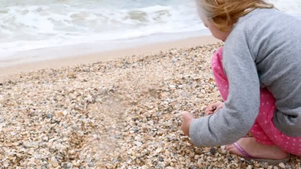 La ragazzina sulla spiaggia del mare raccoglie conchiglie. Estate — Video Stock