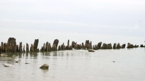 Molo di legno distrutto in mare . — Video Stock