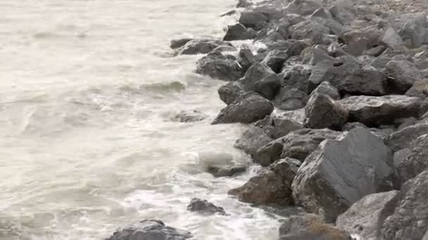 คลื่นพายุในทะเล ฤดูร้อน — วีดีโอสต็อก