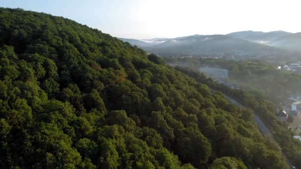 Пляж, автомобільний кемпінг біля моря. Аерофотозйомка — стокове відео