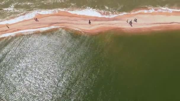 돌잔스카야, 러시아 - 2019년 7월 10일 : 사람들이 바다로 들어가는 모래 침을 걷고 있습니다. 공중 비디오 촬영 — 비디오