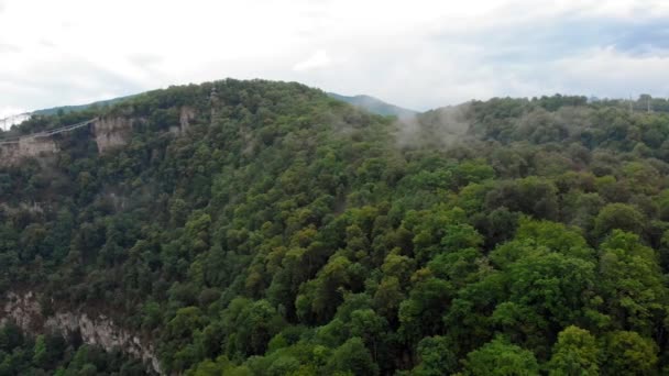 Flying in a mountain gorge. Aerial survey — Stock Video